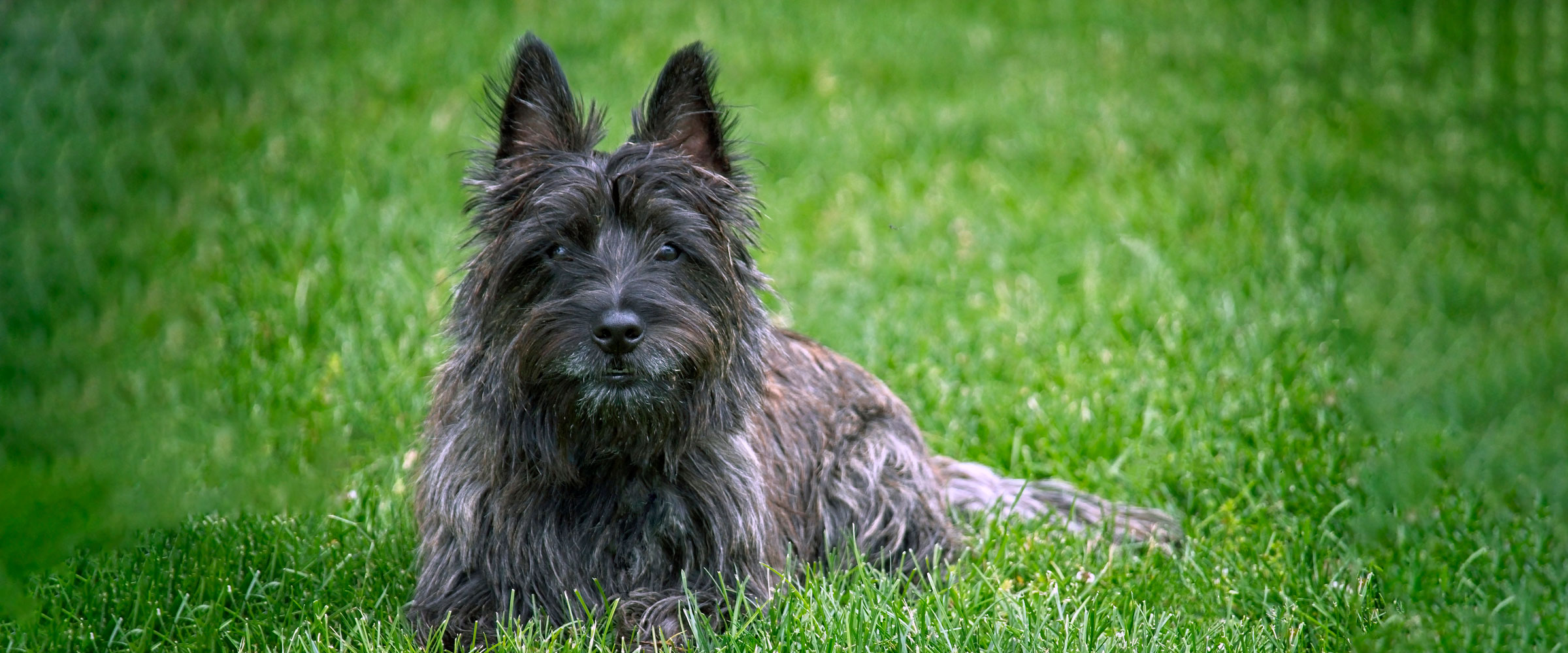 Toto, I don’t think we are in Kansas anymore